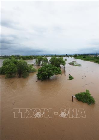 Ngập lụt do mưa lớn tại Pyeongtaek, Hàn Quốc ngày 17/7/2025. Ảnh: Yonhap/TTXVN