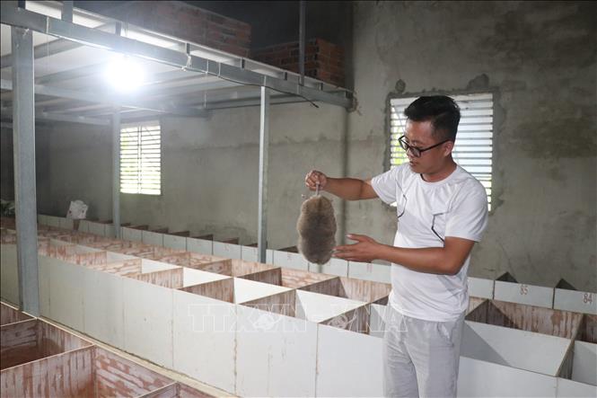 Anh Huỳnh Văn Hiếu ở ấp Thạnh Thới, xã An Thạnh Thủy, tỉnh Đồng Tháp thành công với mô hình nuôi dúi và gà đen Hmông. Ảnh: Công Trí-TTXVN 