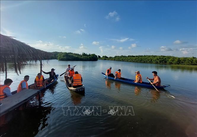 Du khách trải nghiệm bơi xuồng dưới tán rừng đước tại các xã biển thuộc Cù lao Bảo, tỉnh Vĩnh Long. Ảnh: Chương Đài - TTXVN