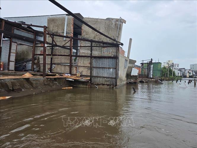 Mưa lớn kéo dài, nền đất thấm nước mềm, kết hợp với triều cường dâng cao rồi rút nhanh, kéo theo đất nền và phần móng nhà trôi xuống sông. Ảnh: TTXVN phát