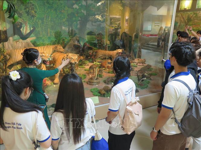 Thành viên đoàn và các trại sinh Trại hè Việt Nam 2025 tìm hiểu về thiên nhiên, đa dạng sinh học tại Bảo tàng Kon Tum. Ảnh: Dư Toán – TTXVN