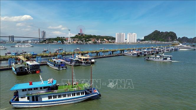 Các tàu du lịch neo đậu tại Cảng tàu khách quốc tế Hạ Long (Quảng Ninh). Ảnh: Đức Hiếu - TTXVN 