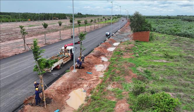 Trồng cây xanh tại tuyến giao thông kết nối sân bay Long Thành. Ảnh: Công Phong - TTXVN