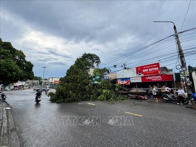 Nhiều cây xanh ở trên phố ở phường Thục Phán và Nùng Trí Cao bị bật gốc. Ảnh: TTXVN phát