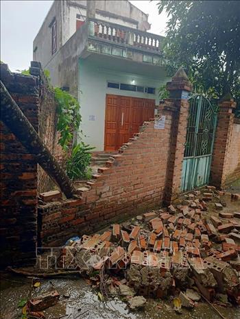 Một số nhà dân bị cây lớn gãy đổ, đè vào nhà và công trình phụ. Ảnh: TTXVN phát

