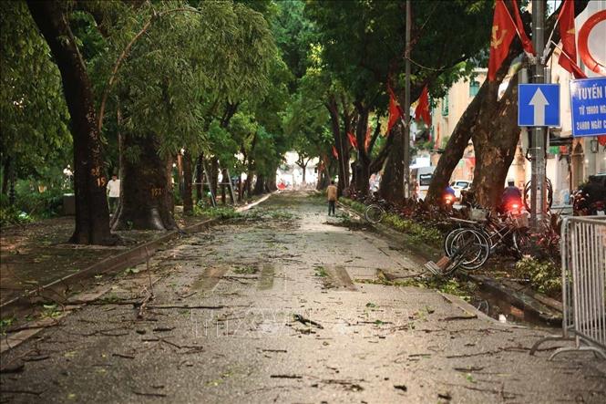 Cành cây gãy đổ nhiều trên các phố Hà Nội. Ảnh: Hoàng Hiếu - TTXVN