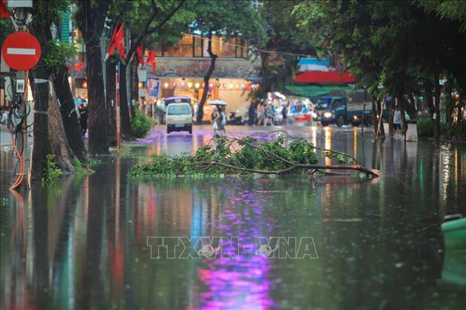 Mưa to kèm gió lớn gây ngập và gẫy cành gây trên phố Đinh Tiên Hoàng. Ảnh: Hoàng Hiếu - TTXVN