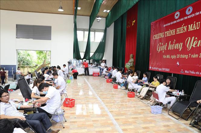 Chương trình dự kiến thu được từ 650 đến 700 đơn vị máu. Ảnh: Đức Phương - TTXVN