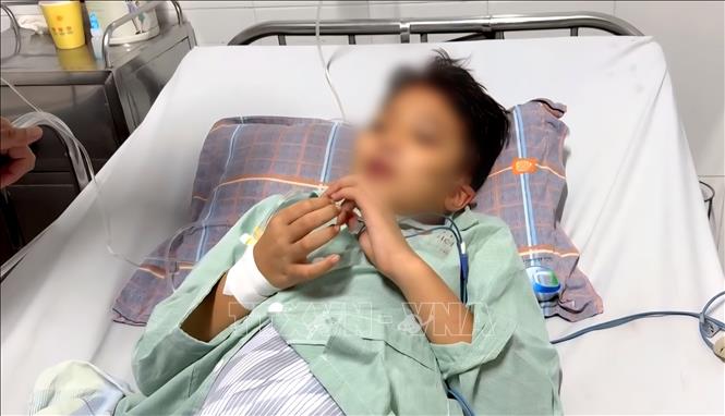 Cháu Hoàng Nhật Minh (10 tuổi,  quê Hà Nội) là nạn nhân sống sót kỳ diệu trong vụ lật tàu Vịnh Xanh 58. Ảnh: TTXVN phát 