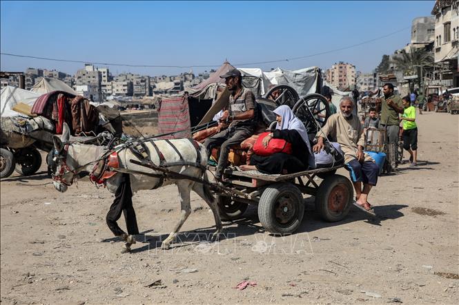 Người dân Palestine đi sơ tán tránh xung đột tại Gaza. Ảnh: THX/TTXVN
