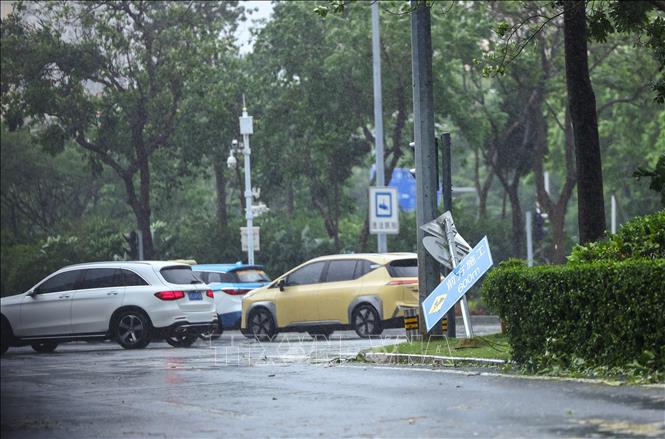 Biển báo gãy đổ trong gió lớn do bão Wipha, tại Thâm Quyến, tỉnh Quảng Đông, Trung Quốc. Ảnh: THX/TTXVN