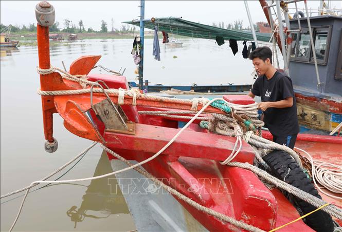 Ngư dân neo đậu tàu thuyền để tránh, trú bão tại cảng cá Tân Sơn (xã Thái Thụy, Hưng Yên). Ảnh: Thế Duyệt – TTXVN