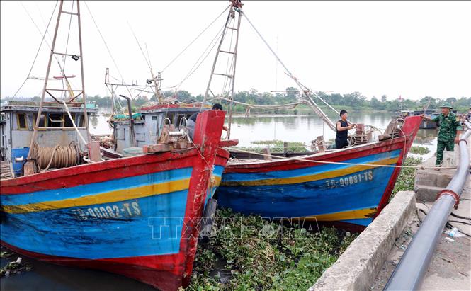 Bộ đội Biên phòng tỉnh Hưng Yên giúp ngư dân neo đậu tàu thuyền để tránh, trú bão tại cảng cá Tân Sơn (xã Thái Thụy, tỉnh Hưng Yên). Ảnh: Thế Duyệt – TTXVN