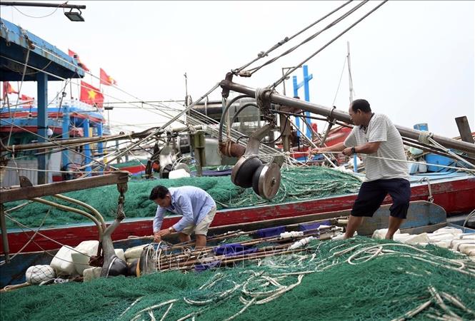 Ngư dân chằng buộc tàu, thuyền đảm bảo an toàn. Ảnh: Thái Thuần - TTXVN