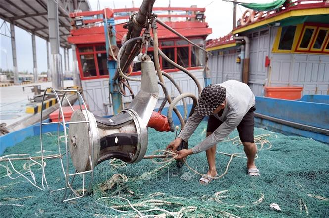 Ngư dân chằng buộc tàu, thuyền đảm bảo an toàn. Ảnh: Thái Thuần - TTXVN