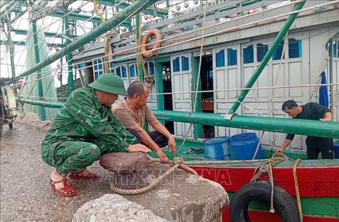 Tỉnh Thanh Hóa có 5.755 phương tiện/16.606 lao động đã vào nơi neo đậu, còn lại 800 phương tiện/3.974 lao động đang được hướng dẫn vào nơi tránh trú bão an toàn. Ảnh: Nguyễn Nam-TTXVN