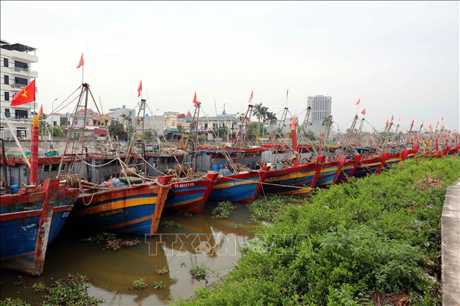 Fishing boats anchor at Tan Son port in Hung Yen province. VNA Photo