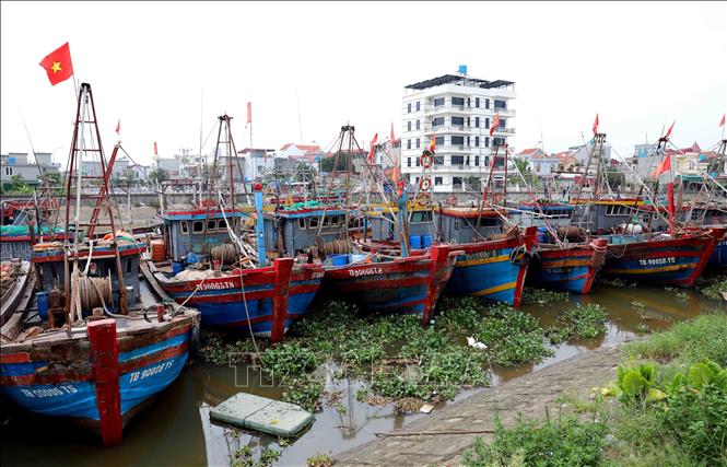 Fishing boats anchor at Tan Son port in Hung Yen province. VNA Photo