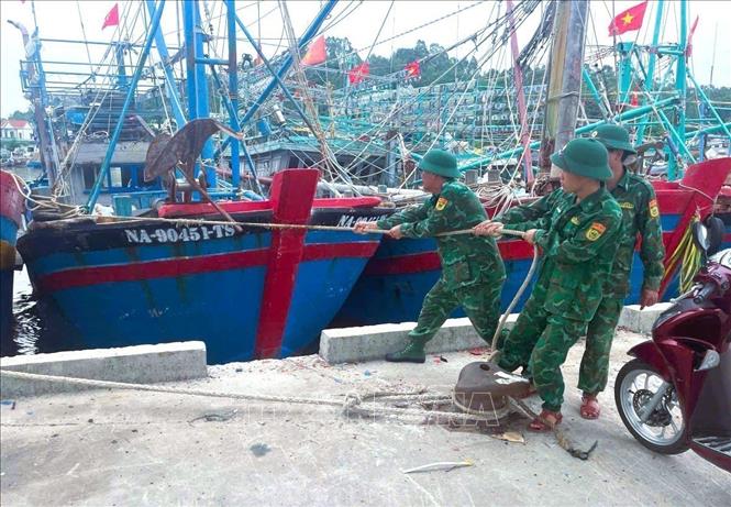 Border guard assist fishermen in the central province of Nghe An prepare for the storm. VNA Photo