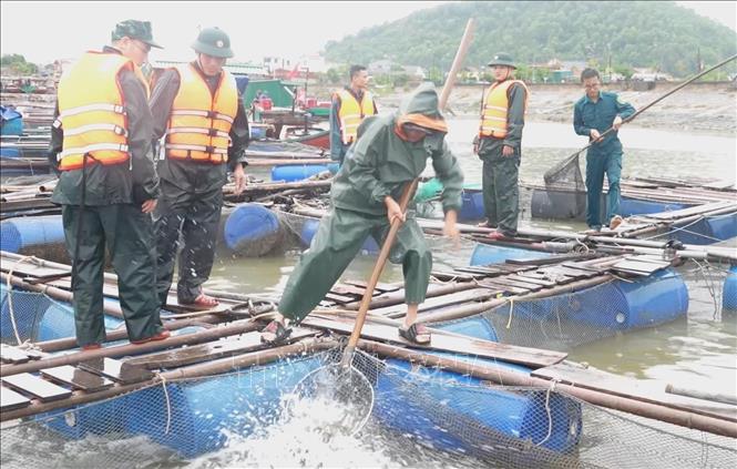 Border guard assist fish-cage owners in the central province of Nghe An prepare for the storm. VNA Photo