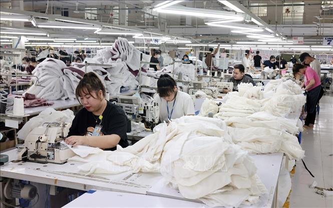 May hàng xuất khẩu tại Công ty. Ảnh: Trần Việt - TTXVN