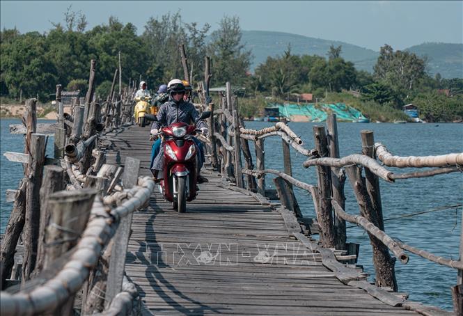 Cầu xây dựng khá đơn sơ, bằng các loại gỗ bạch đàn, phi lao hoặc tre làm trụ chân cầu; cây keo lá tràm được xẻ làm ván lót sàn cầu. Ảnh: Khánh Hoà - TTXVN 