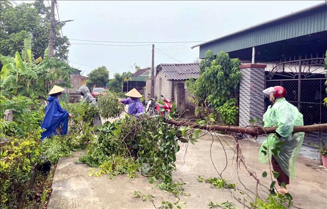 Lực lượng đoàn viên thanh niên cùng nhân dân phong quang đường làng tại xã Đông Kinh sau dông lốc. Ảnh: Công Tường-TTXVN