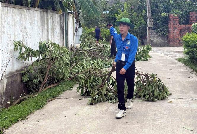 Lực lượng đoàn viên thanh niên vệ sinh đường làng sau dông lốc. Ảnh: Công Tường-TTXVN