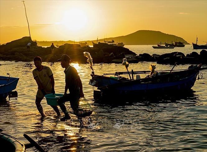 Chợ cá họp lúc trời hừng đông mỗi ngày. Ảnh: Khánh Hoà - TTXVN 