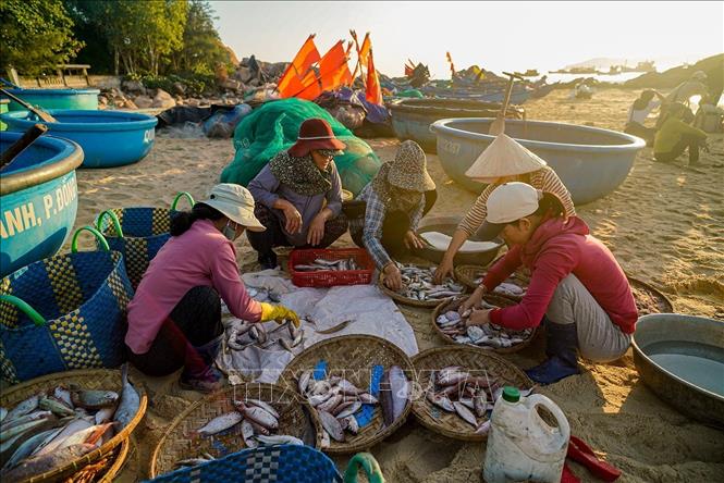 Việc trao đổi, mua bán được thực hiện nhanh chóng. Ảnh: Khánh Hoà – TTXVN 