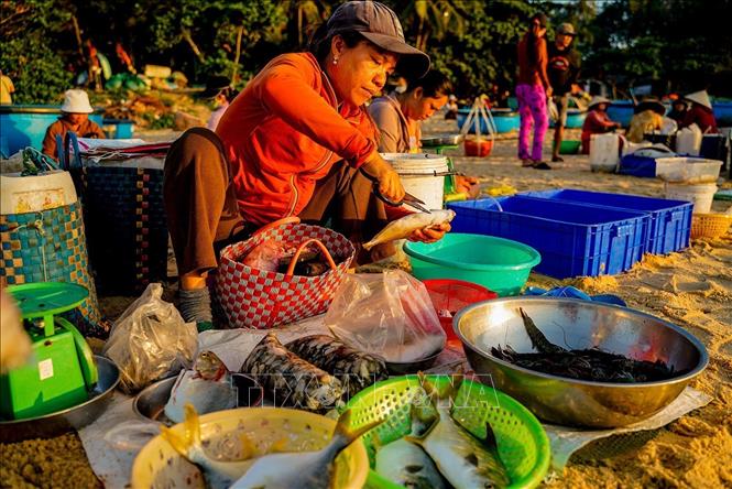 Những loại cá vừa đánh bắt được xử lý để phục vụ người dân địa phương. Ảnh: Khánh Hoà – TTXVN 