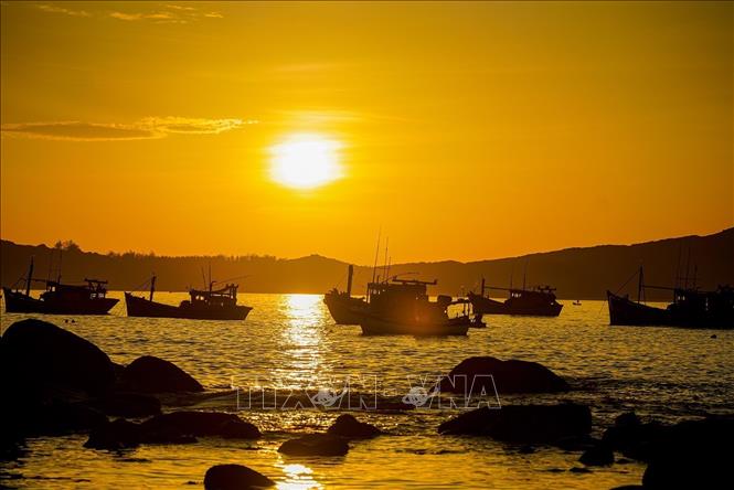 Mỗi sớm những tàu cá lớn nhỏ mang sản vật của biển về tập trung tại chợ cá Phước Đồng. Ảnh: Khánh Hoà - TTXVN 