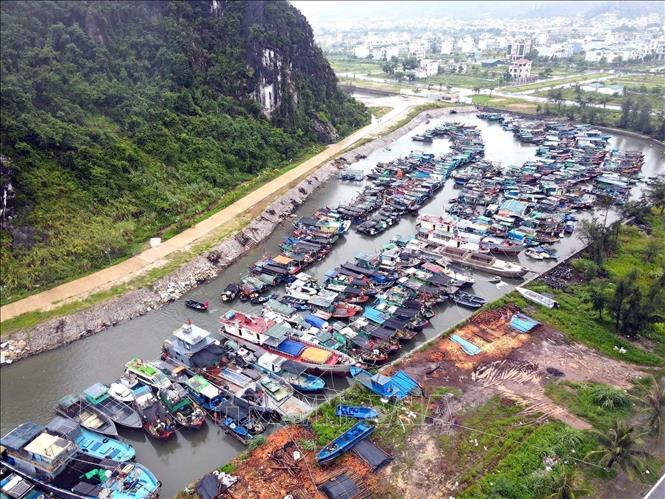Tàu cá của ngư dân tránh trú bão tại khu vực cảng Cái Rồng, Đặc khu Vân Đồn, tỉnh Quảng Ninh. Ảnh: TTXVN phát