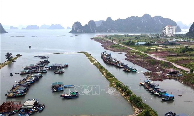 Tàu cá của ngư dân tránh trú bão tại khu vực cảng Cái Rồng, Đặc khu Vân Đồn, tỉnh Quảng Ninh. Ảnh: TTXVN phát