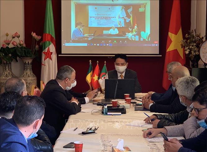 Hội nghị giao thương trực tuyến về khai thác tiềm năng hợp tác thương mại và đầu tư Việt Nam - Algeria - Senegal năm 2021, với 3 điểm cầu chính tại thủ Algiers, Dakar và Hà Nội nhằm thúc đẩy trao đổi hợp tác thương mại và đầu tư giữa 3 quốc gia. Ảnh: Tấn Đạt –TTXVN 