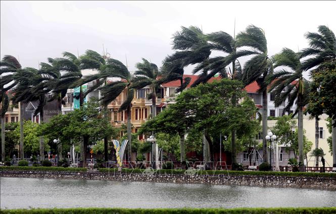 Khu vực phường Trần Hưng Đạo, tỉnh Hưng Yên sáng 22/7/2025 có mưa và gió giật mạnh. Ảnh: Thế Duyệt – TTXVN 