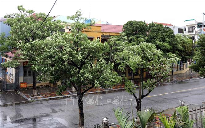 Khu vực phường Trần Hưng Đạo, tỉnh Hưng Yên sáng 22/7/2025 có gió giật mạnh. Ảnh: Thế Duyệt – TTXVN 