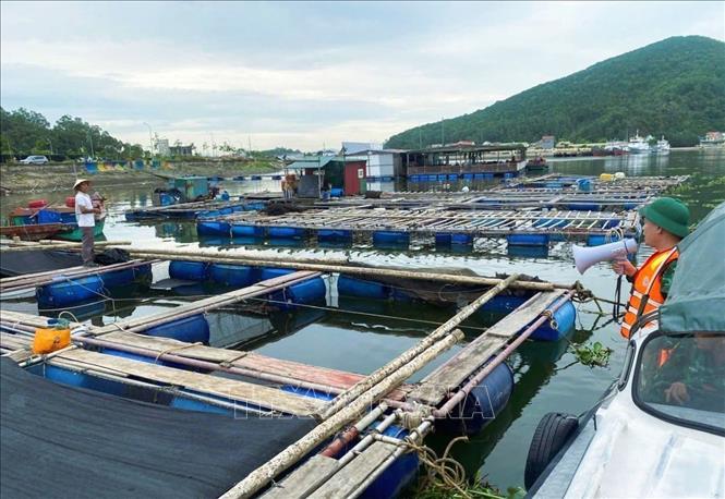 Border guards in central province of Nghe An assist local fish-cage owners prepare for the storm. VNA/Photo by courtesy