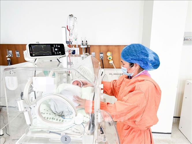 Trẻ sơ sinh sinh non của một sản phụ từ tỉnh Attapeu (Cộng hoà dân chủ nhân dân Lào) đang được chăm sóc đặc biệt tại Bệnh viện Đại học Y dược Hoàng Anh Gia Lai. Ảnh: TTXVN phát
