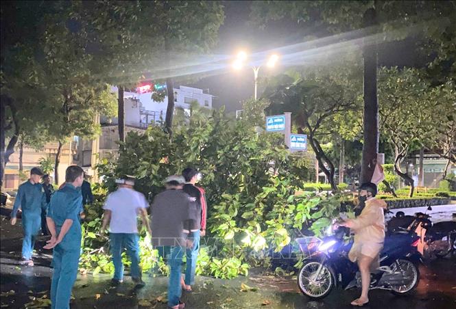Lực lượng chức năng phường Bình Đức (tỉnh An Giang) xử lý cây đổ trên đường do ảnh hưởng của dông lốc. Ảnh: Công Mạo-TTXVN