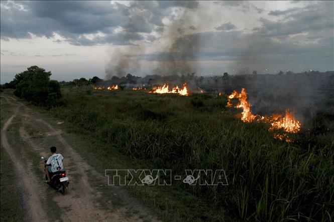 Đám cháy rừng tại Ogan Ilir, tỉnh Nam Sumatra, Indonesia, ngày 20/7/2025. Ảnh: THX/TTXVN
