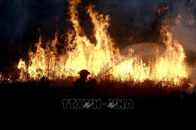 Đám cháy rừng tại Ogan Ilir, tỉnh Nam Sumatra, Indonesia, ngày 20/7/2025. Ảnh: THX/TTXVN