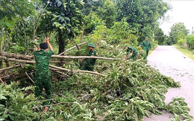 Nhiều cây xanh bị gãy đổ do ảnh hưởng của mưa, giông. Ảnh: TTXVN phát