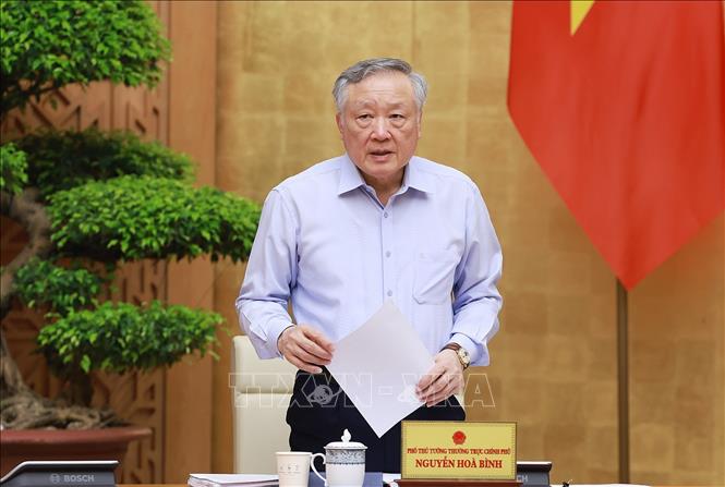 Phó Thủ tướng Thường trực Chính phủ Nguyễn Hoà Bình phát biểu. Ảnh: Dương Giang-TTXVN
