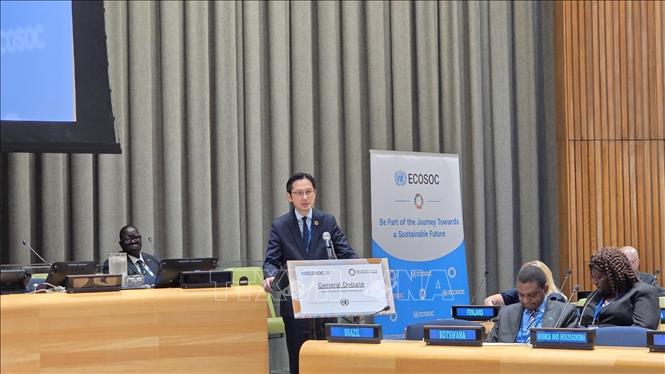 Permanent Representative of Vietnam to the UN Ambassador Do Hung Viet speaks at the 2025 HLPF. VNA Photo: Thanh Tuấn