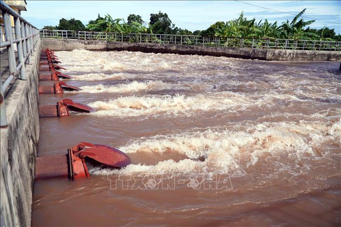 Trạm bơm Lịch Bài (Xí nghiệp khai thác công trình thủy lợi Kiến Xương, tỉnh Hưng Yên) vận hành tất cả 12 máy để tiêu đệm, tiêu úng cứu lúa. Ảnh: Nguyễn Công Hải - TTXVN