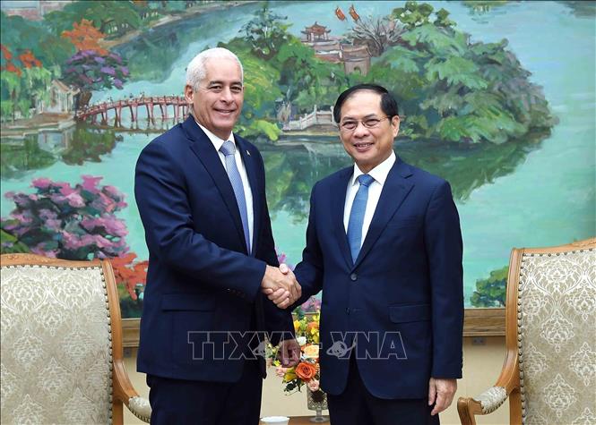 Deputy PM and FM Bui Thanh Son recceives Cuban First Deputy Minister of Foreign Affairs Gerardo Penalver Portal. VNA/Photo by courtesy