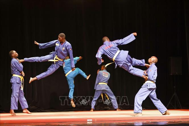 Tiết mục trình diễn của các võ sinh Liên đoàn Vovinam Senegal. Ảnh: Doãn Tấn - TTXVN