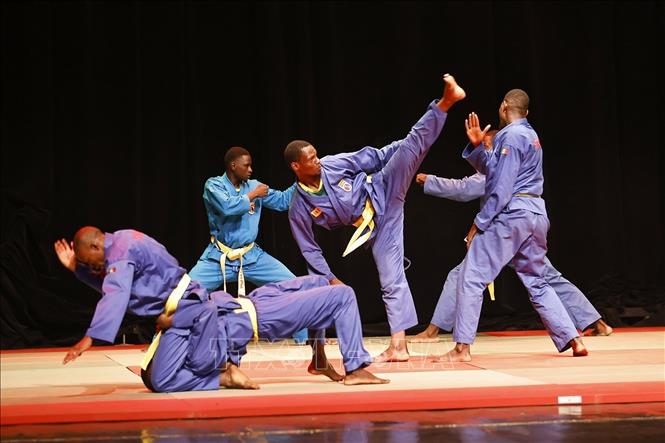 Tiết mục trình diễn của các võ sinh Liên đoàn Vovinam Senegal. Ảnh: Doãn Tấn - TTXVN