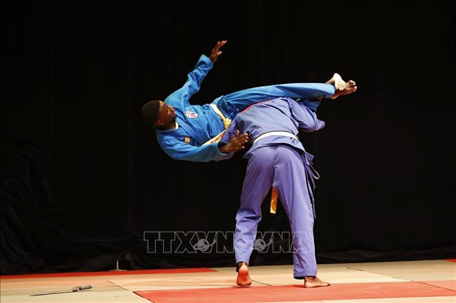 Tiết mục trình diễn của các võ sinh Liên đoàn Vovinam Senegal. Ảnh: Doãn Tấn - TTXVN